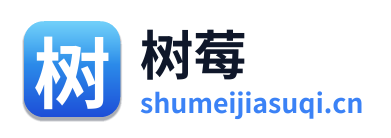 树莓加速器 Logo